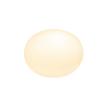 Globus pöytävalaisin