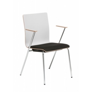 Fen tuoli käsinojin