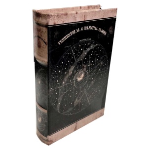 Kirjarasia Terrestrial 33