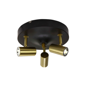 Gusto spottivalaisin