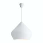 Dublin riippuvalaisin