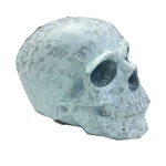 Koriste Pääkallo - Orrnametti