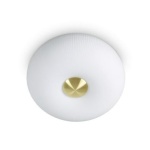 Arizona kattovalaisin