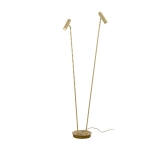 Artic Double lattiavalaisin