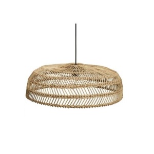 Denise rottinkivalaisin