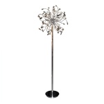 Foggia lattiavalaisin