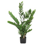 Verde palmukasvi ruukussa