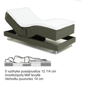 Anatomic moottorisänky Ergo Fox - 80x200 cm